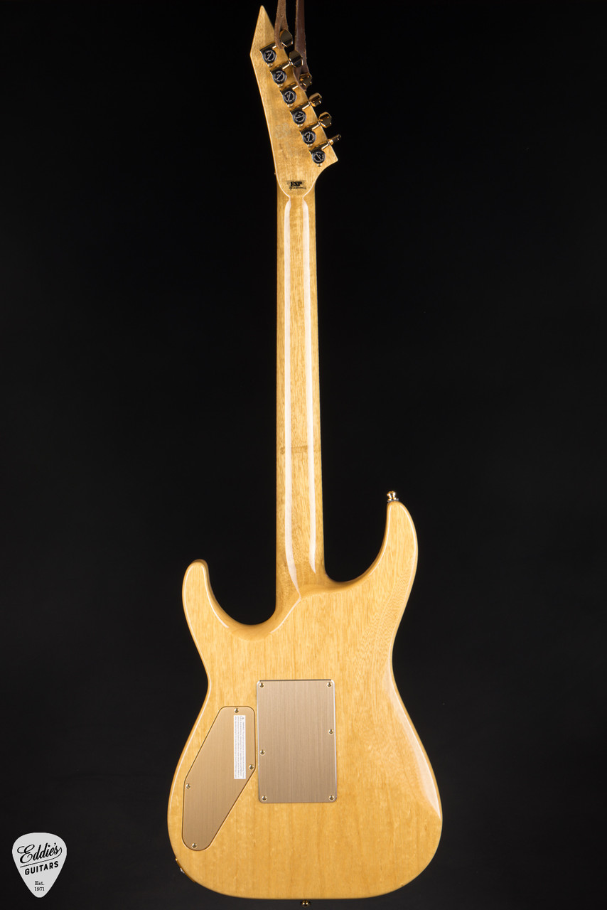 ESP Custom Shop 50th Anniversary Horizon-CTM - Tiger Eye Burst #11