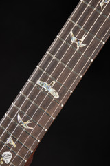 Paul Reed Smith Eddie’s Guitars Wood Library DGT (David Grissom Trem) Brazilian FB/Rosewood Neck Electric Guitar in Custom Color