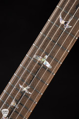 Paul Reed Smith Private Stock #11606 Custom 24/08 Semi-Hollow Curly Maple Electric Guitar in Midnight Orchid Glow