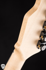 James Tyler Studio Elite HD Electric Guitar in Green Shmear