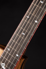 2023 - Goodall Parlor 12 Fret Cutaway - Bearclaw Sitka Spruce & Macassar Ebony Acoustic Guitar