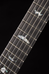 Paul Reed Smith Wood Library Custom 24-08 Figured Maple Neck Electric Guitar in Champagne Metallic