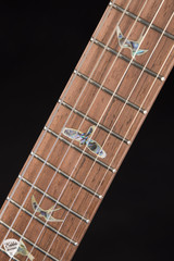 Paul Reed Smith Eddie’s Guitars Wood Library Custom 24 Brazilian FB/Rosewood Neck – Carroll Blue Electric Guitar