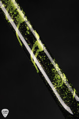 ESP V-II FR BH – Alien Blood Spatter Electric Guitar