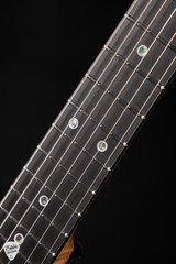 Don Grosh NOS Hollow T Thinline 30th Anniversary Electric Guitar in Charcoal Burst