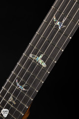 Paul Reed Smith Eddie’s Guitars Wood Library DGT (David Grissom Trem) – Faded Blue Jean/Torrefied Flame Maple Neck Electric Guitar