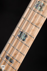 Spector NS-5 Neck Thru Bass Guitar in Nightshade