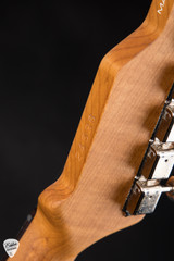 James Tyler Tylerbastar Vice Shmear electric guitar