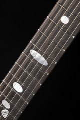 Alembic Skylark - Zebrawood Electric Guitar