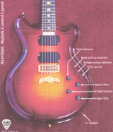 Alembic Skylark - Zebrawood Electric Guitar