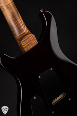Paul Reed Smith Eddie’s Guitars Wood Library Special Semi Hollow Black Gold Wraparound Burst Electric Guitar