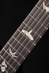 Paul Reed Smith Mark Tremonti Electric Guitar in Charcoal Contour Burst