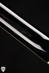 Ibanez PS3CM Paul Stanley Signature Electric Guitar in Cracked Glass