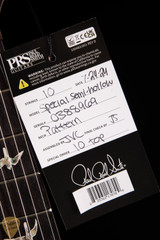 Paul Reed Smith Special Semi-Hollow Blue Matteo electric guitar