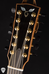 2024 – Goodall Jumbo 12 String Cutaway – Adirondack Spruce & Indian Rosewood Acoustic Guitar