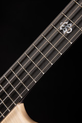 Spector NS-2X 4 String Neck Thru Bass Guitar in Black & White