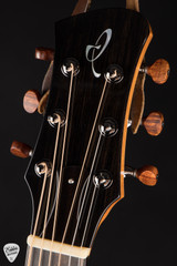 Irvin Guitars SP Signature Parlor – Lutz Spruce & Koa Acoustic Guitar