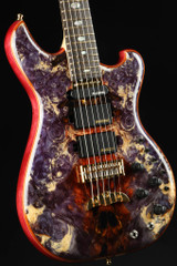 Alembic Further 6 Buckeye Burl - Resin Top #F14818