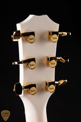 Taylor 614ce LTD 50th Annniversay - Transparent White