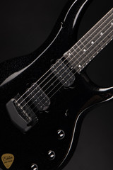 Ernie Ball Music Man Majesty electric guitar Black Frosting