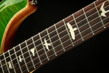 2023 - Paul Reed Smith CE 24 Semi-Hollow - Eriza Verde #364614