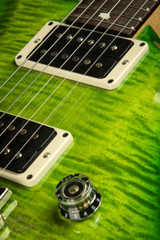 2023 - PRS CE 24 Semi-Hollow - Eriza Verde #364614