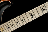 Paul Reed Smith DW (Dustie Waring) CE 24 "Floyd" - Satin Black Top #373640