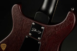 2024 - Paul Reed Smith DW (Dustie Waring) CE 24 "Floyd" - Burnt Amber Wraparound Smokeburst