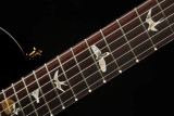 Paul Reed Smith Mark Tremonti - Fire Smokeburst #370123