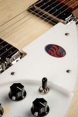 Rickenbacker 330 - Maple Glo #2406726