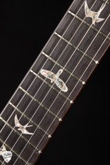 Paul Reed Smith DGT (David Grissom Trem) Electric Guitar in Gold Top