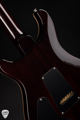 Paul Reed Smith DGT (David Grissom Trem) Electric Guitar in Gold Top