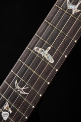Paul Reed Smith Mark Tremonti Electric Guitar in Charcoal Contour Burst