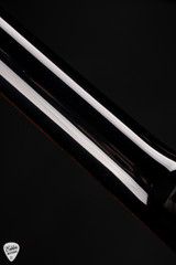 Paul Reed Smith Special Semi-Hollow Charcoal Burst electric guitars