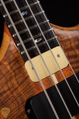 Alembic Brown Bass in Walnut