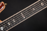 Alembic H-2 Tribute Electric Guitar in Cocobolo