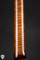 Paul Reed Smith Eddie's Guitars Wood Library McCarty 594 Singlecut Stained Neck/Ebony - Copperhead Burst
