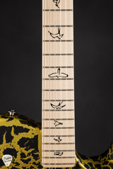 Paul Reed Smith NF53 Satin Electric Guitar in Sprayer’s Choice