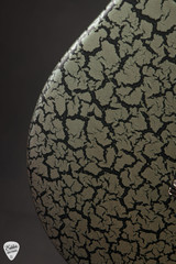 Paul Reed Smith NF53 Satin - Sprayer's Choice #417262