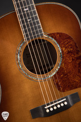 Gallagher SG-70 Acoustic Guitar with Torrefied Adirondack Spruce & Madagascar Rosewood