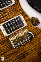 Paul Reed Smith Custom 24 electric guitar in Black Gold Wraparound Burst