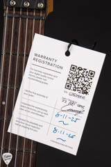 Strandberg Boden Essential 6 Electric Guitar in Coral Pink