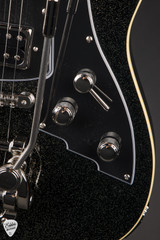 Duesenberg Paloma Baritone Electric Guitar in Black Sparkle