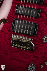 Paul Reed Smith Eddie’s Guitars Wood Library Special Semi Hollow Electric Guitar in Angry Larry/Cocobolo Fretboard/Figured Maple Neck