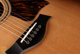 Sale Pending - Taylor 50th Anniversary 314ce - Shaded Edge Burst