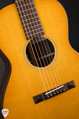 Santa Cruz H/13 Custom Sitka Spruce & Black & White Ebony Acoustic Guitar