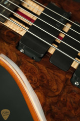Alembic Series II V - Burl Walnut