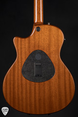 2006 - Taylor T5-S - Natural