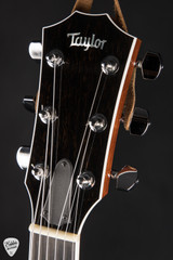2006 - Taylor T5-S - Natural
