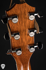 2006 - Taylor T5-S - Natural